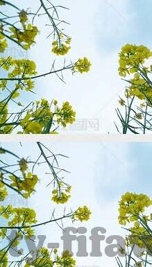 澳门永利赌场注册网址-澳门永利赌场注册网址，探索娱乐与风险并存的体验
