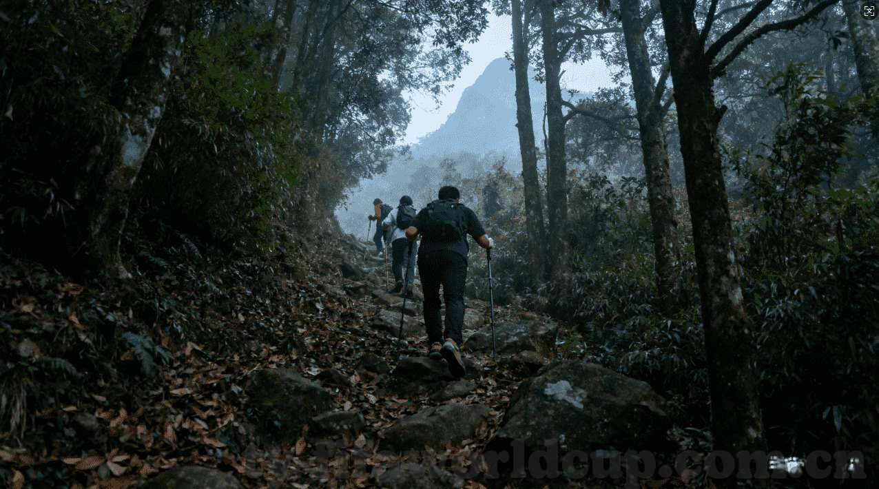 男篮世界杯在哪里下注-男篮世界杯，下注的地点与注意事项