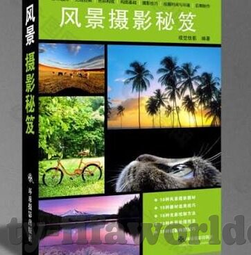 世界杯韩国进决赛了吗-韩国队挺进世界杯决赛，足球梦与奇迹的交响曲